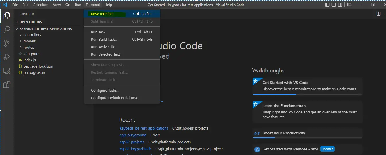 REST API Server - Keycodes - Visual Studio Code - New Terminal