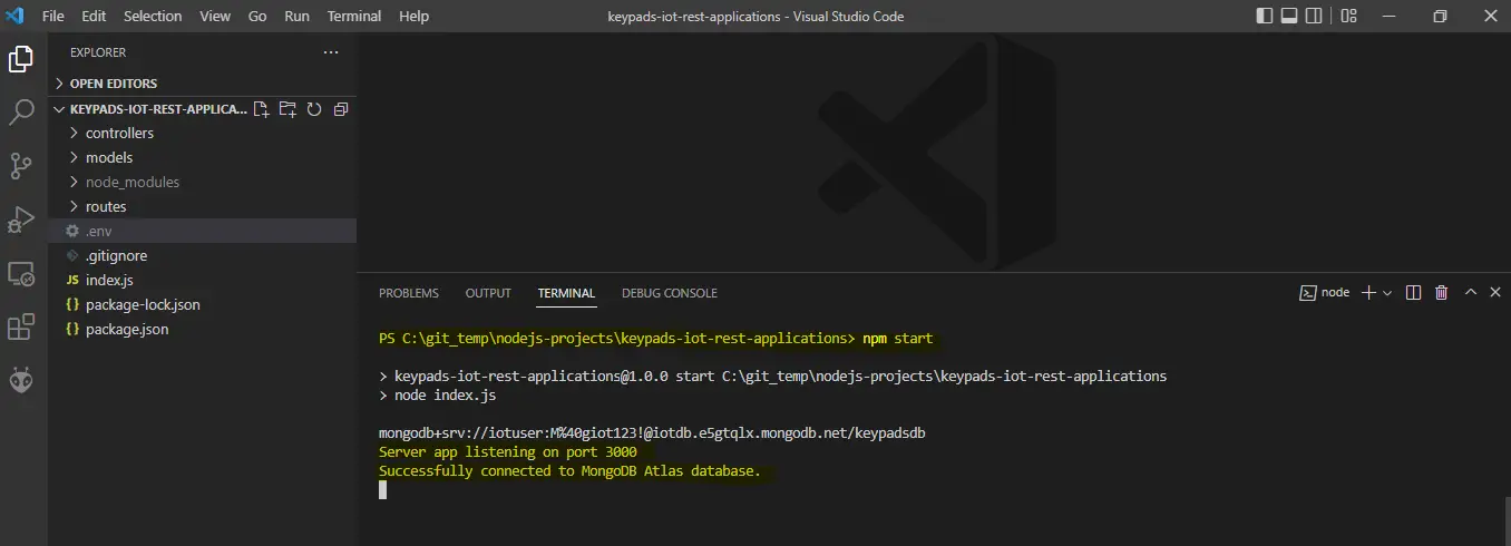 REST API Server - Keycodes - Visual Studio Code - npm start