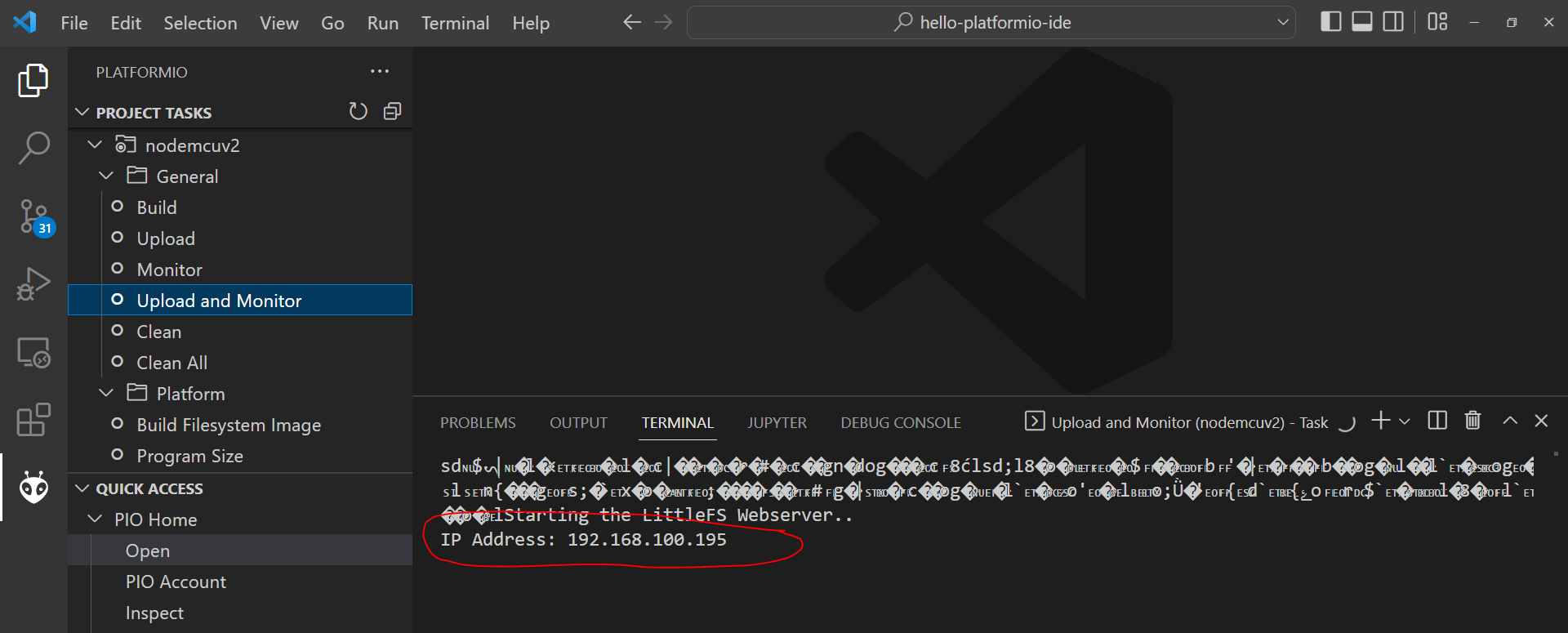 PlatformIO - IP Address Shown