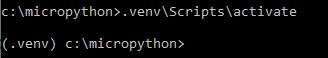 Python Virtual Environment Activated