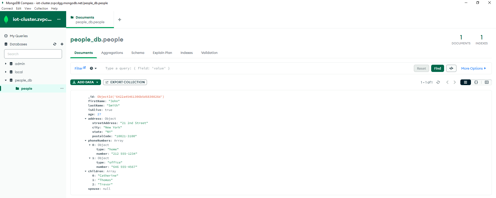 MongoDB Compass Document