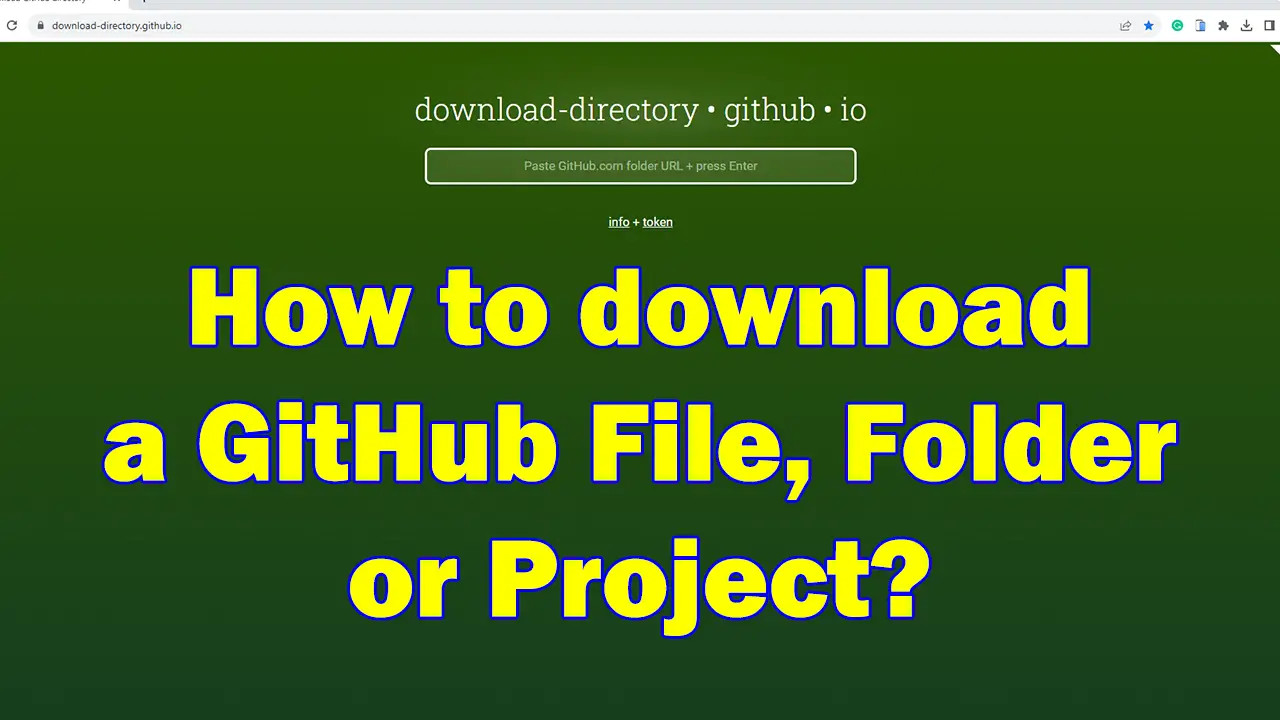 How to download a GitHub file, folder, or project?